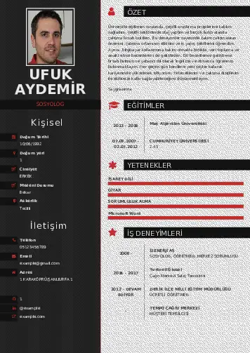 Sosyolog Cv Örnekleri cv indir